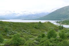 Innlandet - Vågå - Besstrond - Øvre Sjodalsvatnet