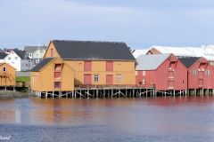 Finnmark - Vardø - Brodtkorbsjåene - Pomormuseet