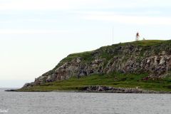Finnmark - Vardø - Hornøya