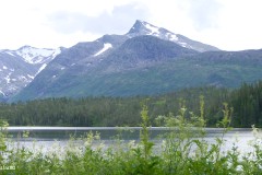 Nordland - Vefsn