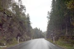 Agder - Vennesla - Fv403