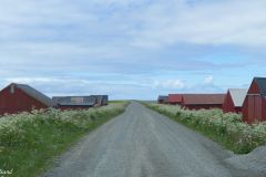 Nordland - Vestvågøy - Eggum