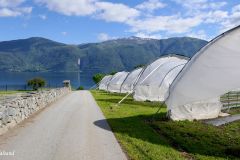 Vestland - Vik - Vangsnes