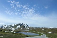 Vestland - Vik - Vikafjellet