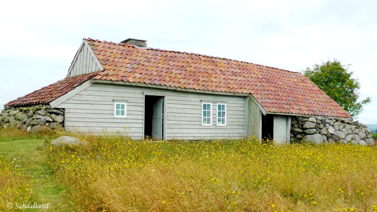 Rogaland - Time - Træe