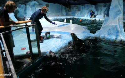 Polaria akvarium og opplevelsessenter i Tromsø