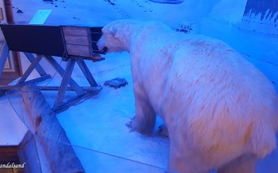 Kikk inn i Polarmuseet i Tromsø