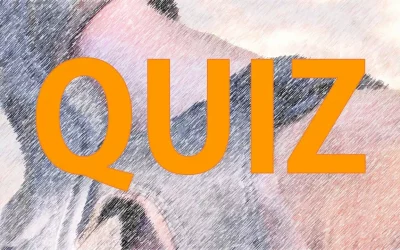 Quiz – Severdigheter i Bergen