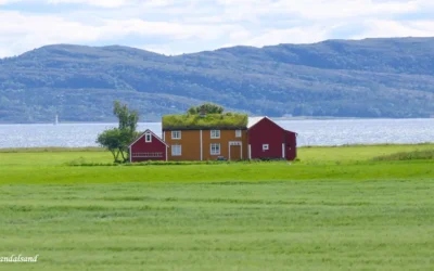 Biltur ut Trondheimsfjorden